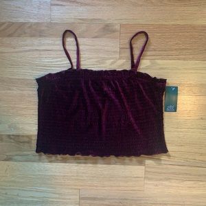 NWT - Wild Fable Maroon/Purple Velvet Spaghetti Strap Crop Top. Size Large.